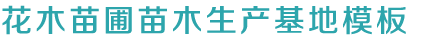 BG视讯